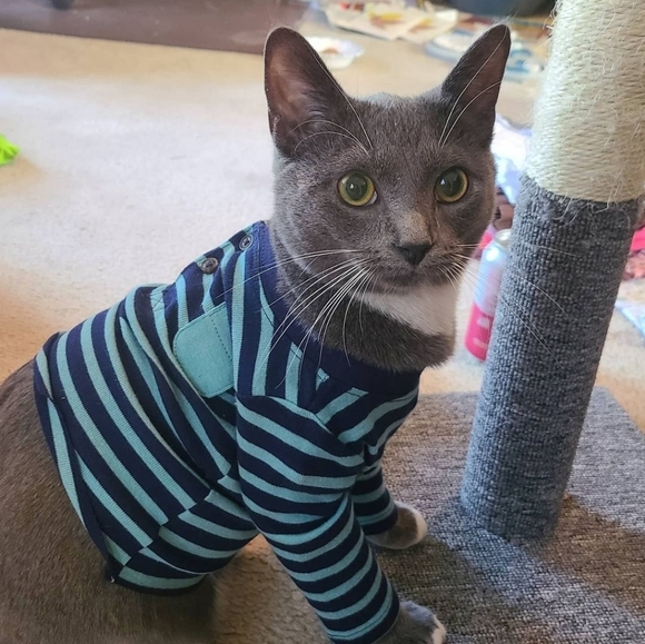 Meet Your Posher - Picture 6 of 6